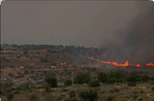 PM Israel Ketakutan Kebakaran Hutan Bisa Capai Yerusalem